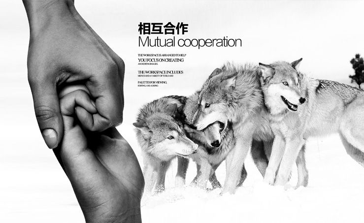 拉一把手的狼性团队互助合作企业文化psd素材