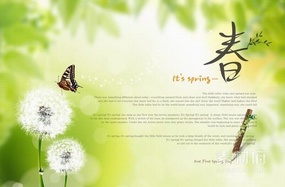春天蒲公英和蝴蝶的海报