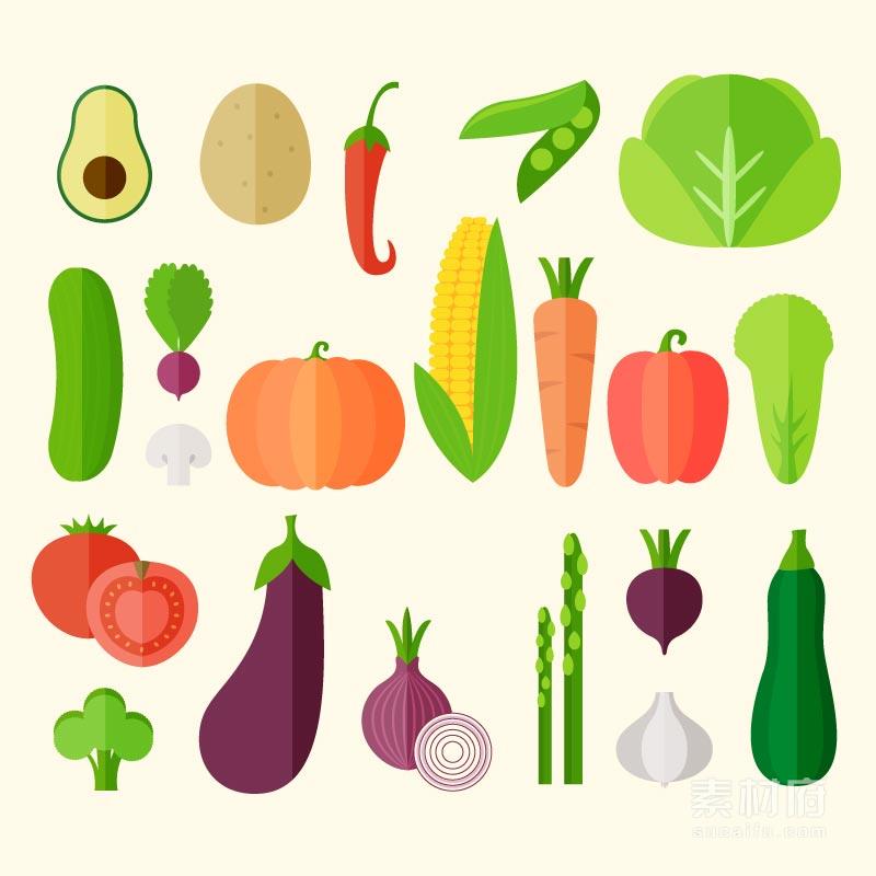 矢量蔬菜图形插画