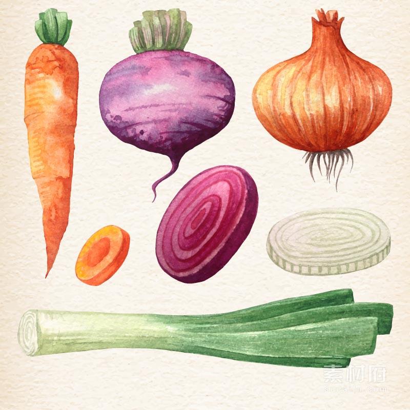 细腻的水彩手绘蔬菜
