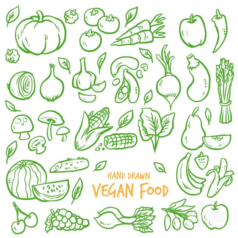 线描蔬菜水果插画
