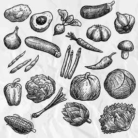 铅笔素描风格的手绘蔬菜插画