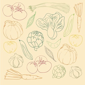 线描各种颜色的蔬菜
