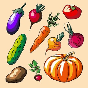 手绘插画蔬菜