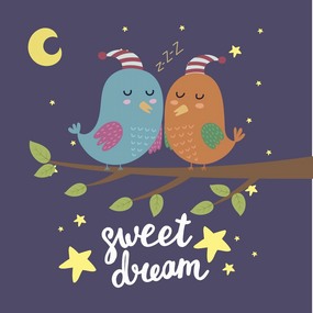卡通可爱儿童动物小鸟晚安抱枕图案设计矢量图