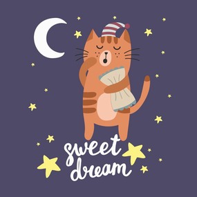 卡通可爱儿童动物花猫晚安抱枕图案设计矢量