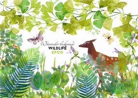 森系手绘清新水彩鹿动物童话插画