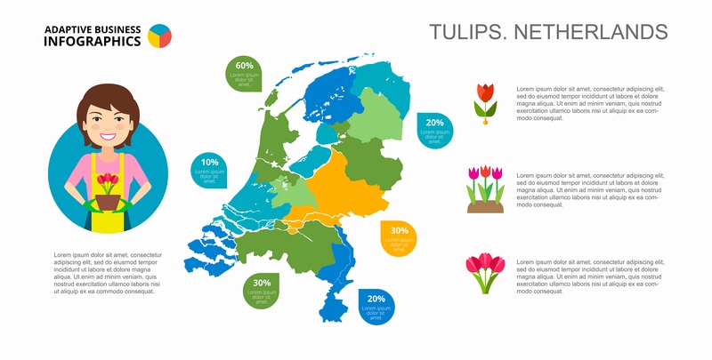 荷兰郁金香分布地图信息图表设计