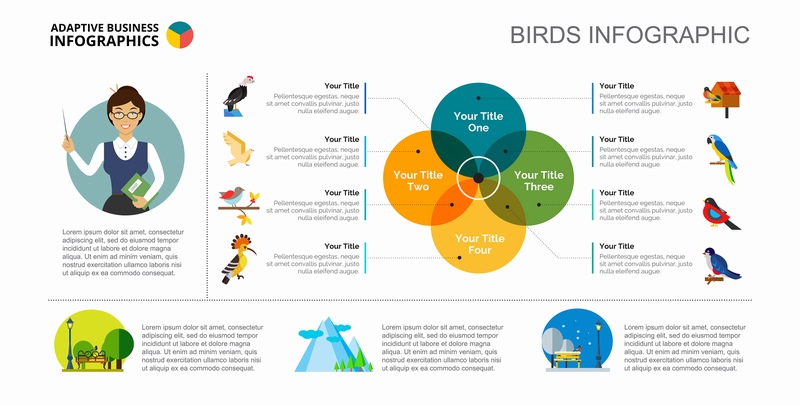 不同鸟类的四种属性交集信息图表设计