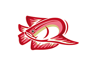 红龙鱼插画矢量素材