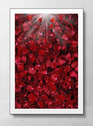 铺满了红色玫瑰花瓣的海报背景