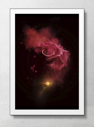 烟雾粉末玫瑰花特效海报背景