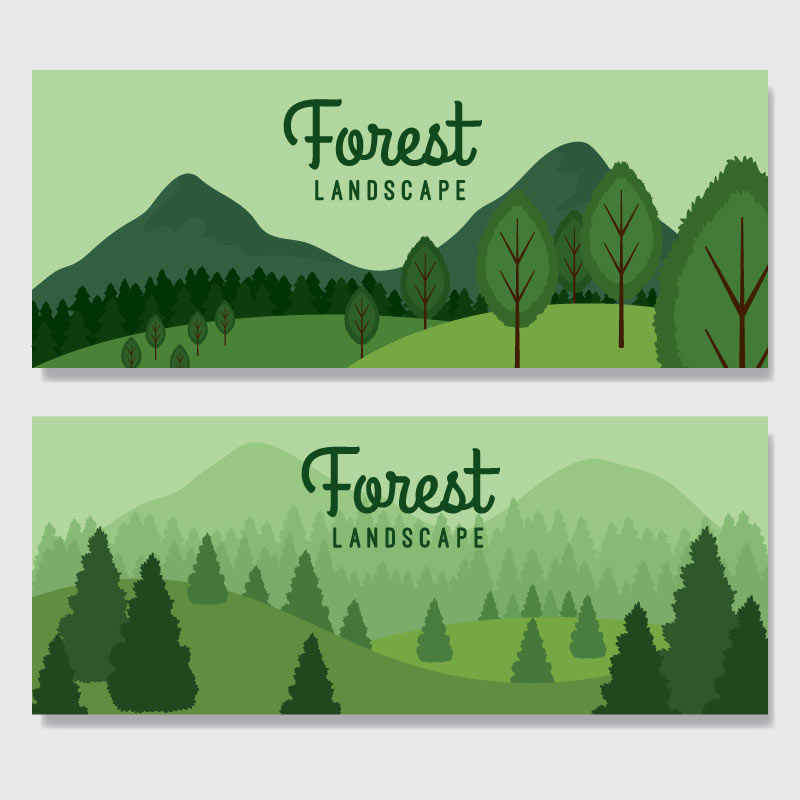 森林树林banner图设计