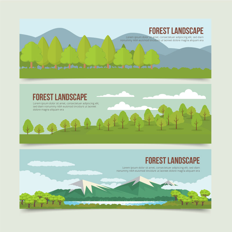 横幅自然树林森林banner图设计