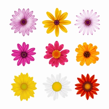 各种形状颜色的花朵矢量图设计