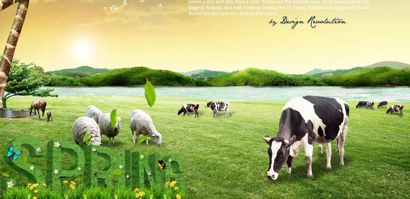 阳光下的牧场奶牛和绵羊在吃草的场景