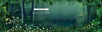 深绿色的梦幻森林banner设计