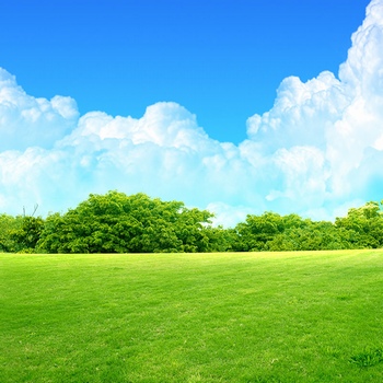 蓝天白云草地和树的背景图片