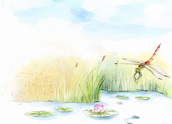 淡彩手绘荷塘上的蜻蜓插画设计