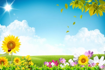 阳光明媚的蓝天下花草盛开的背景图