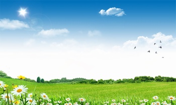 蓝天白云和绿草地鲜花
