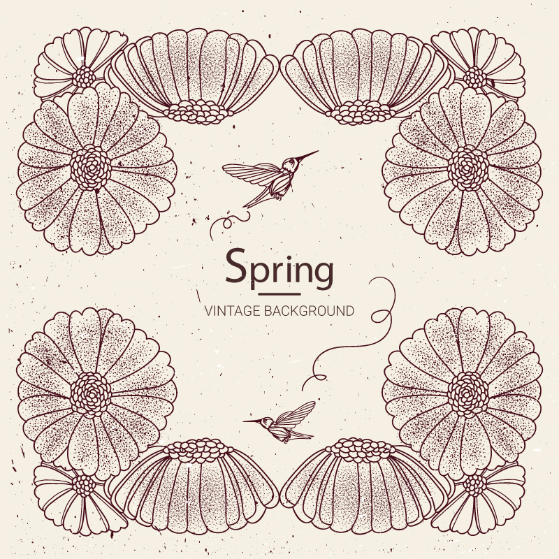 复古春天花卉和蜂鸟线描插画