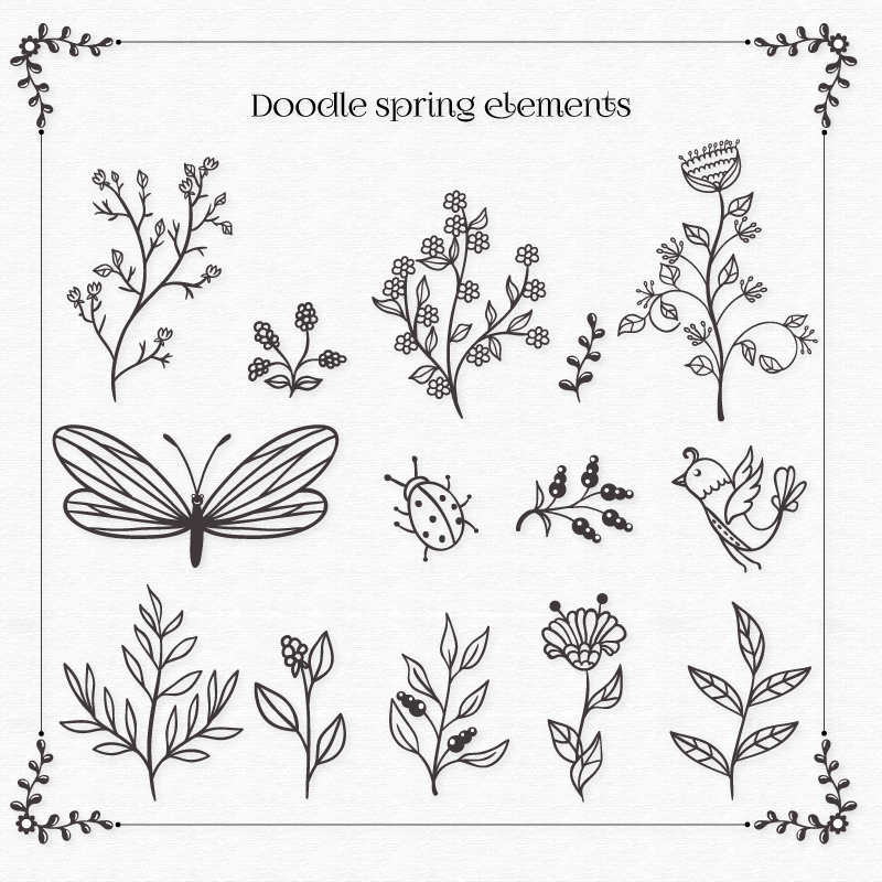 手绘线描植物树叶和蝴蝶