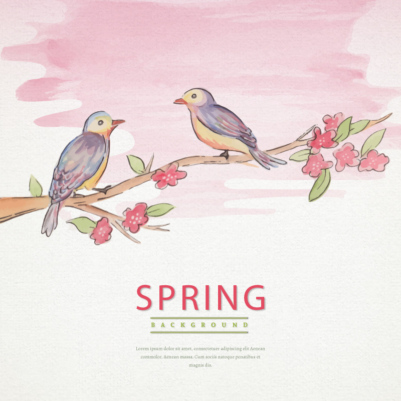水彩手绘春暖花开树枝上一对鸟