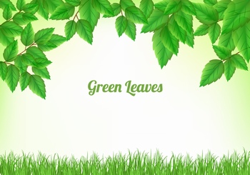 绿色树叶草地自然插图背景