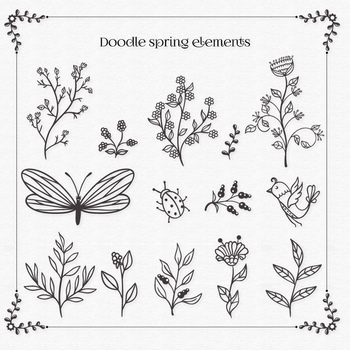 手绘线描植物树叶和蝴蝶