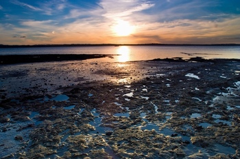 夕阳下的河滩