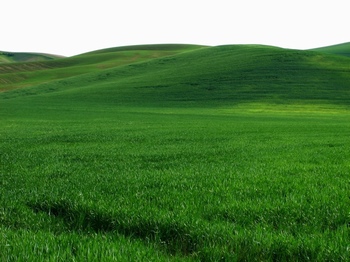 绿色的草原和山丘