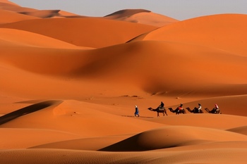驼队在沙漠中穿行