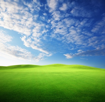 蓝天绿地风景图片