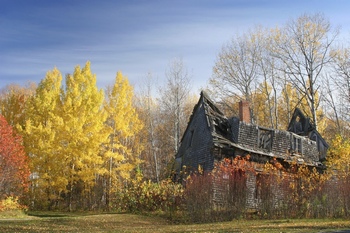树林中一座破损的老房子