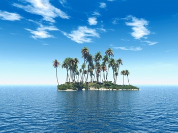 海中一座长满椰子树的孤岛