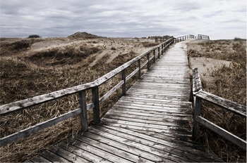海边的木板廊桥