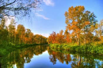 秋天宁静的湖水两岸边长满了树