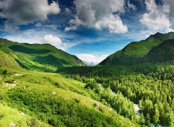 一片植被覆盖的山林美景