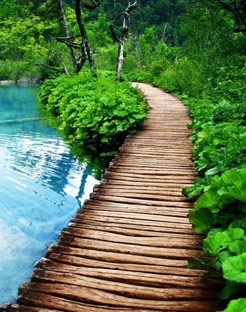 克罗地亚国家公园里的湖边木板小桥