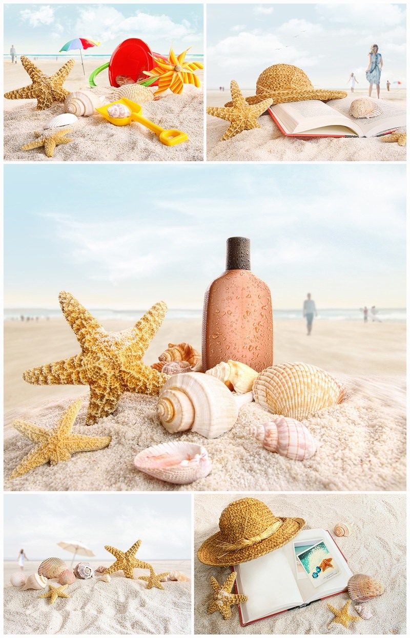 海边沙滩上的海星海螺和贝壳