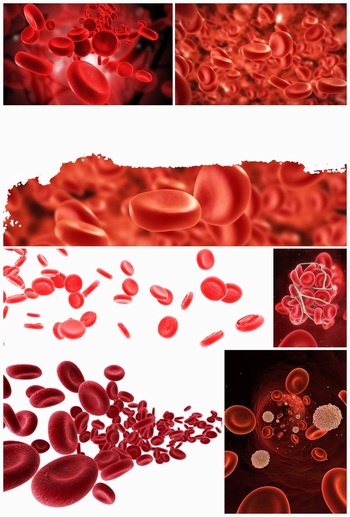 红细胞高清图片