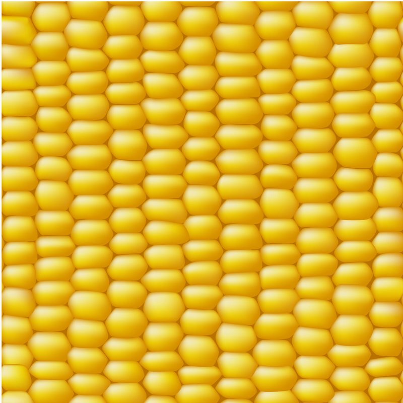 玉米粒底纹图案背景无缝拼图