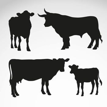 牛的剪影矢量图