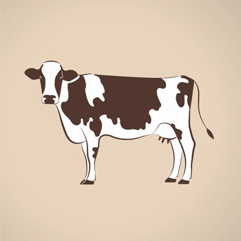 奶牛矢量插画设计