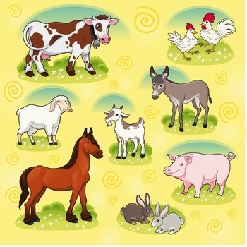 农场动物形象插画设计
