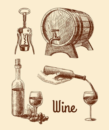 素描手繪葡萄酒插畫