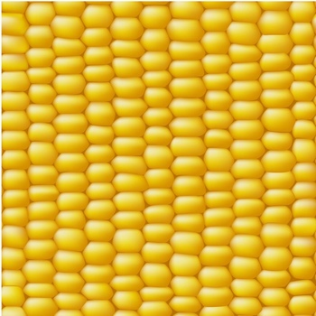 玉米粒底紋圖案背景無縫拼圖