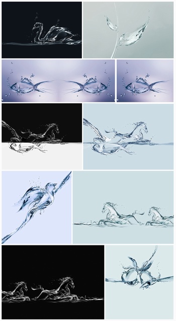 水元素组成的创意动物图形