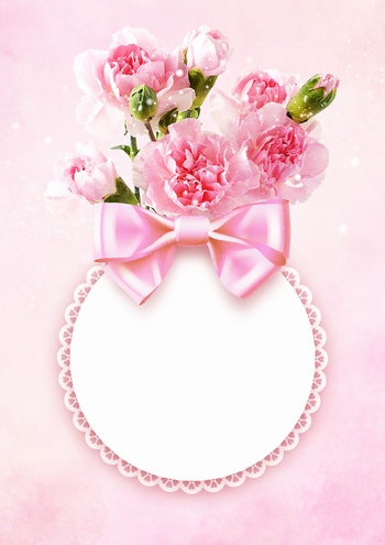 母亲节康乃馨花卉海报背景